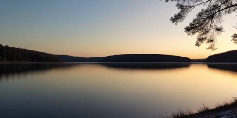 Koli Wild Oy ranta